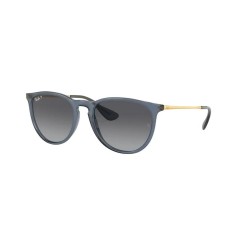 Ray-Ban ERIKA RB4171 6592T3