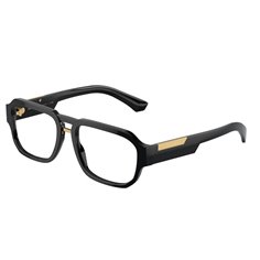 Dolce & Gabbana DG3389 501