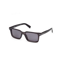Ermenegildo Zegna EZ0249 20D