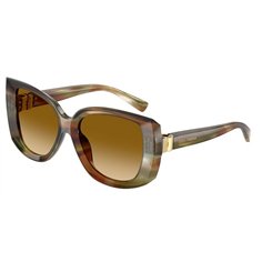 Dolce & Gabbana DG4495 34462L