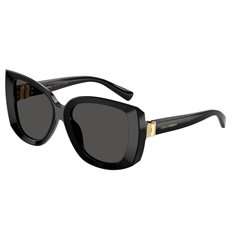 Dolce & Gabbana DG4495 501/87