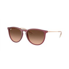 Ray-Ban ERIKA RB4171 6815A5