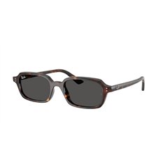 Ray-Ban ZURI RB4455 135987