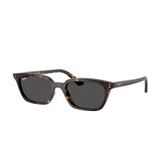 Ray-Ban ZAYA RB4456 135987