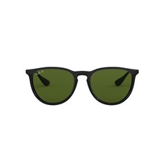 Ray-Ban ERIKA RB4171 601/2P 2