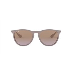Ray-Ban ERIKA RB4171 600068 2