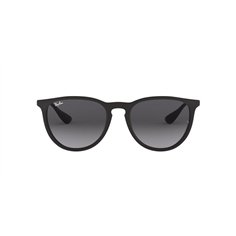 Ray-Ban ERIKA RB4171 622/8G 2