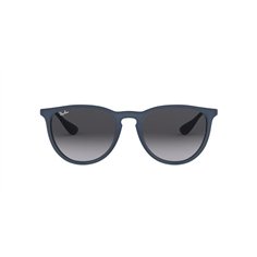 Ray-Ban ERIKA RB4171 60028G 2