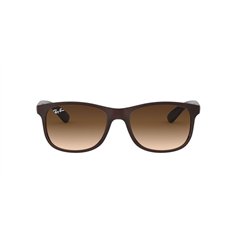 Ray-Ban ANDY RB4202 607313 2