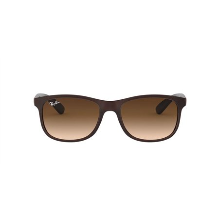 Ray-Ban ANDY RB4202 607313