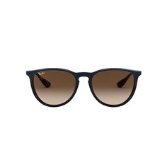 Ray-Ban ERIKA RB4171 631513 2