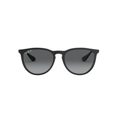 Ray-Ban ERIKA RB4171 622/T3 2