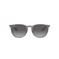 Ray-Ban ERIKA RB4171 65138G 2