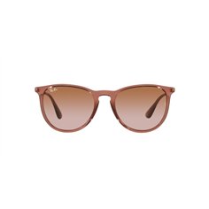 Ray-Ban ERIKA RB4171 659013 2