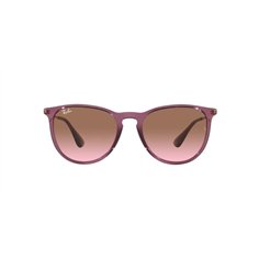 Ray-Ban ERIKA RB4171 659114 2