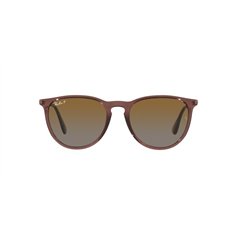 Ray-Ban ERIKA RB4171 6593T5 2