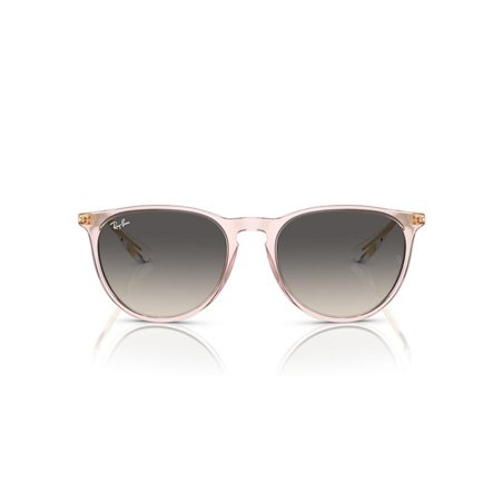Ray-Ban ERIKA RB4171 674211