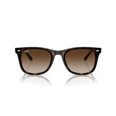 Ray-Ban RB4420 710/13 2