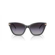 Emporio Armani EA4251 62628G 2