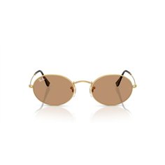 Ray-Ban OVAL RB3547 001/53 2