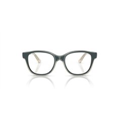 Ray-Ban Junior RY1950 7202 2