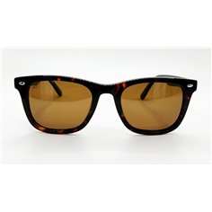 Wish Ocean WO 147 C-4 2